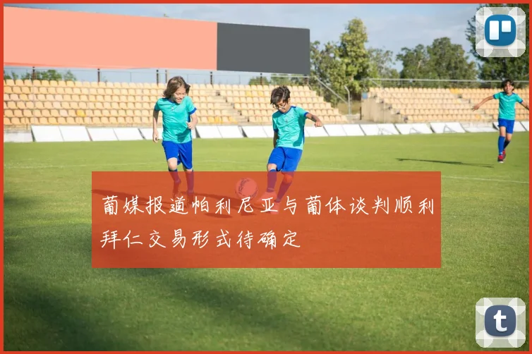 葡媒报道帕利尼亚与葡体谈判顺利拜仁交易形式待确定
